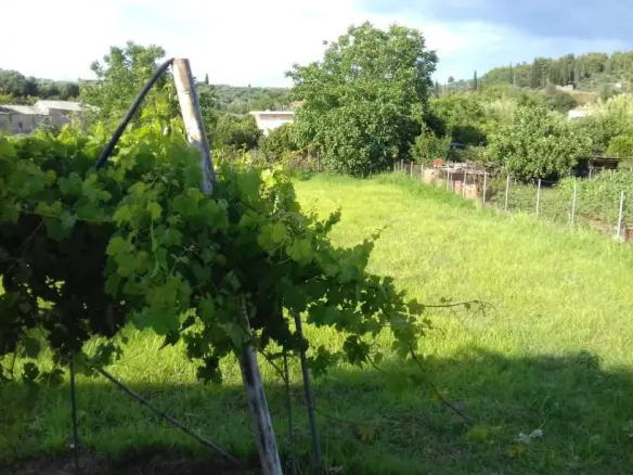 2-bedroom Detached House In Archaia Olimpia, Greece (80 M²)