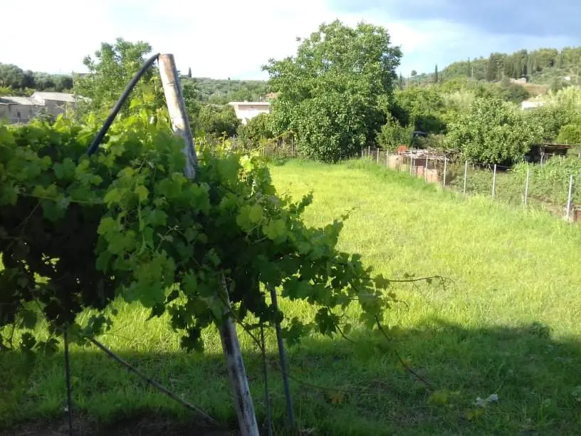 Detached House Of 80 M² In Western Peloponnese