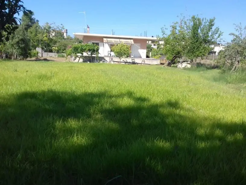 Detached House Of 80 M² In Western Peloponnese