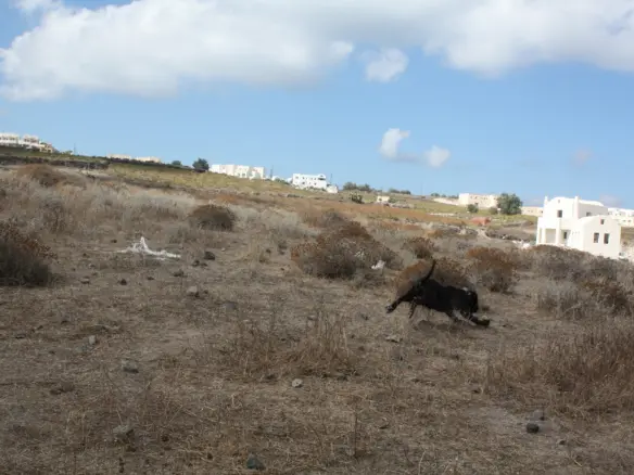 Land In Santorini, Greece