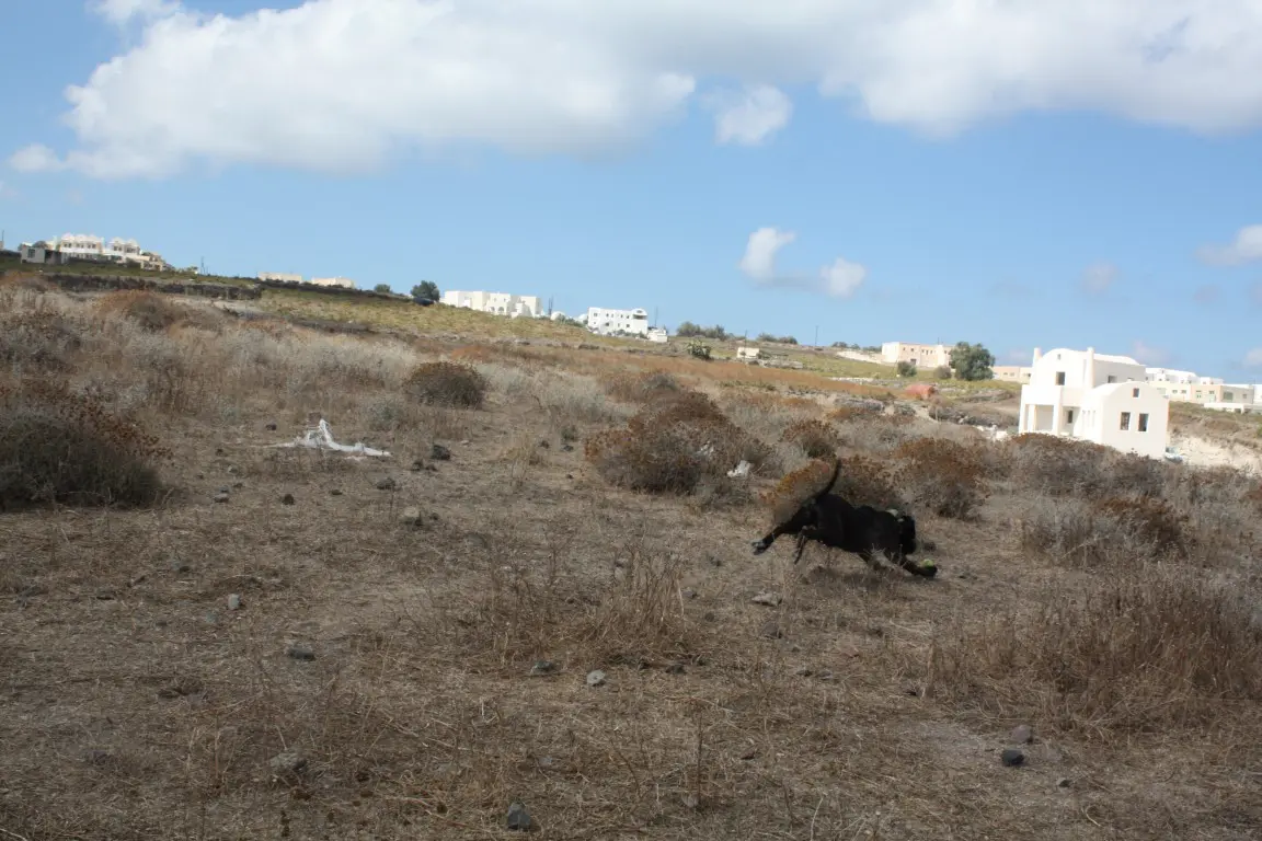 Land Of 29000 M² In Santorini