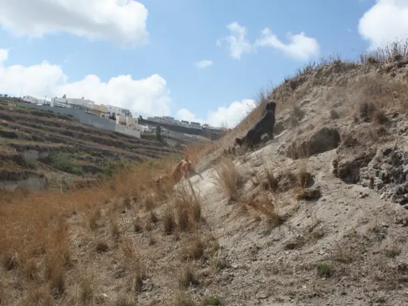 Land In Santorini, Greece