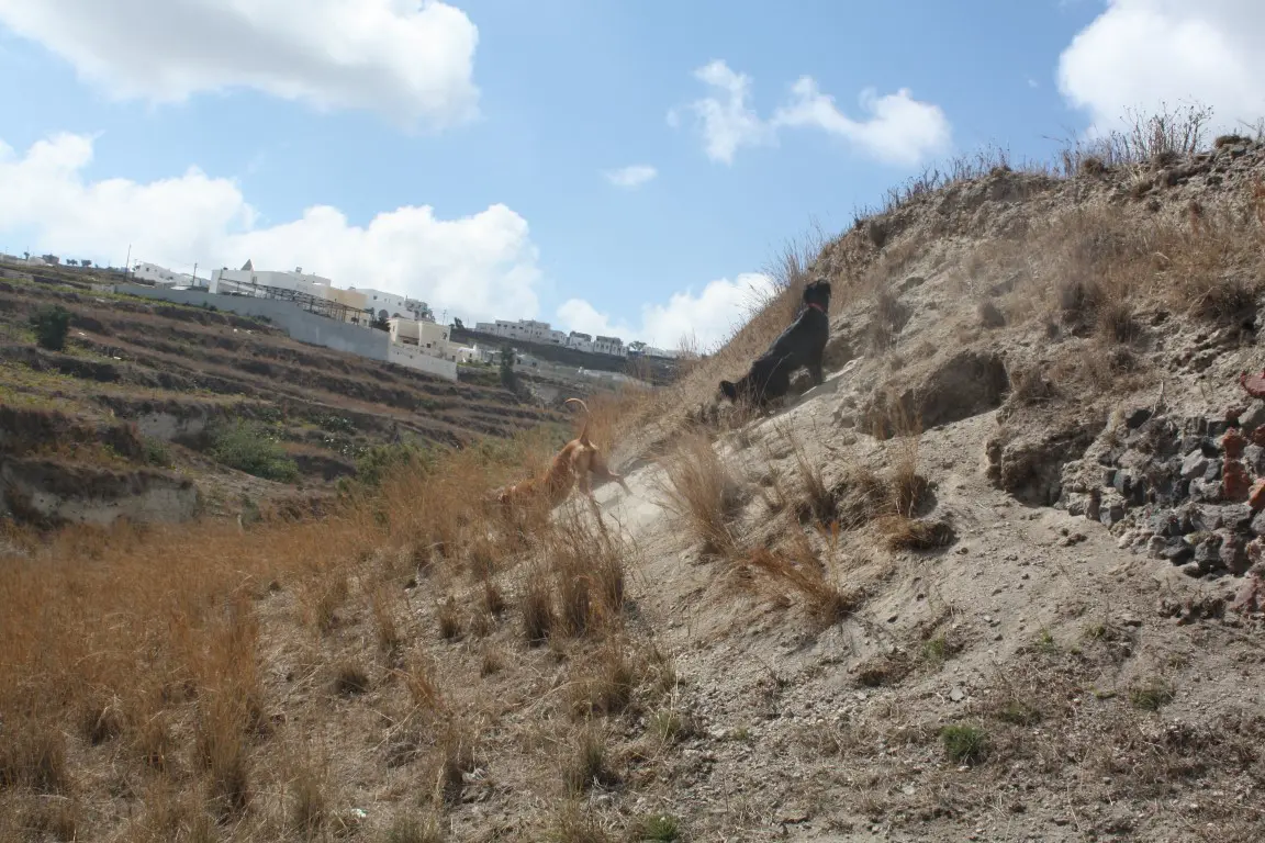 Land Of 29000 M² In Santorini
