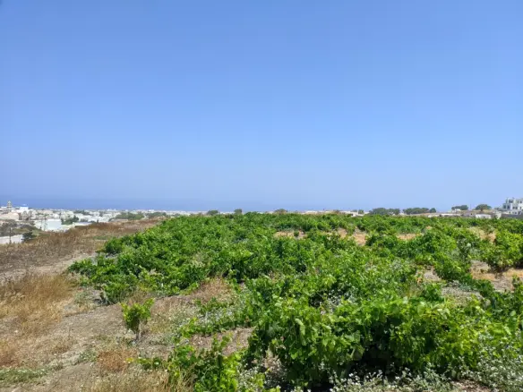 Land In Santorini, Greece