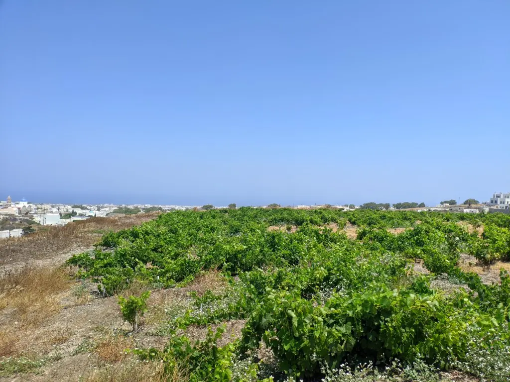 Land Of 29000 M² In Santorini
