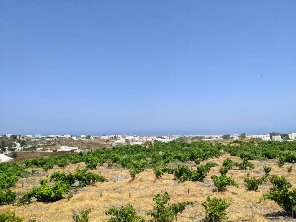 Land Of 29000 M² In Santorini