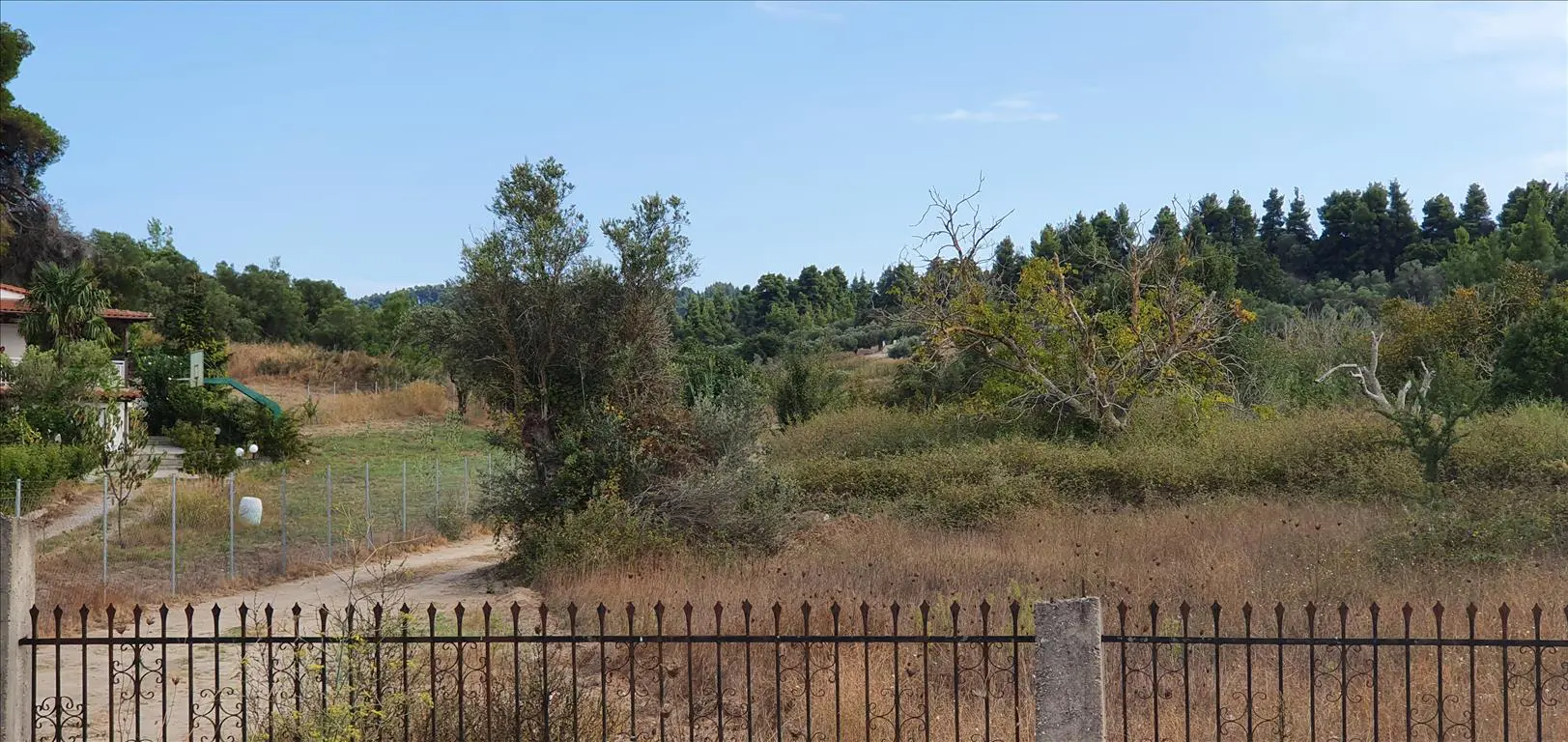 Land Of 6800 M² In Kassandra, Chalkidiki