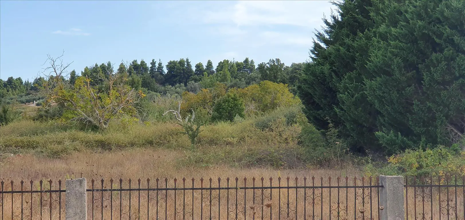 Land Of 6800 M² In Kassandra, Chalkidiki