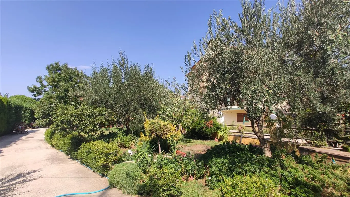Detached House Of 90 M² In Sithonia, Chalkidiki