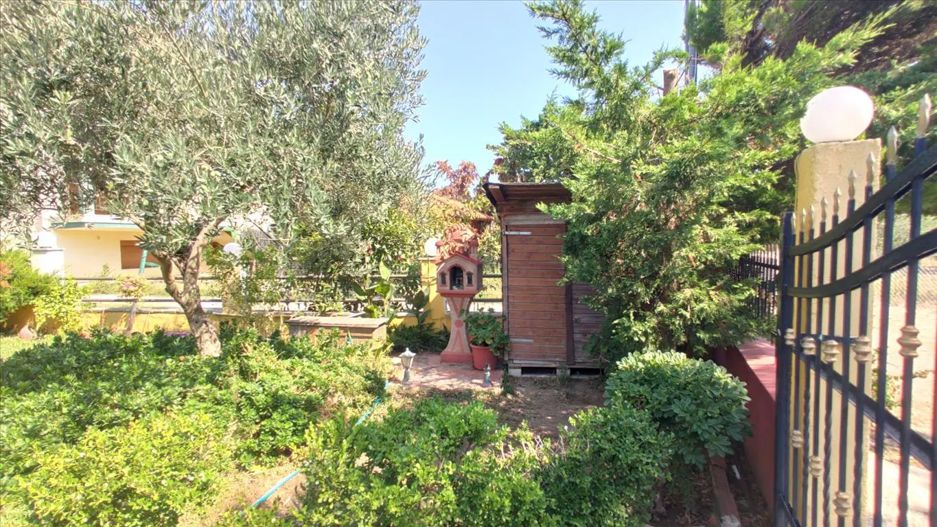Detached House Of 90 M² In Sithonia, Chalkidiki