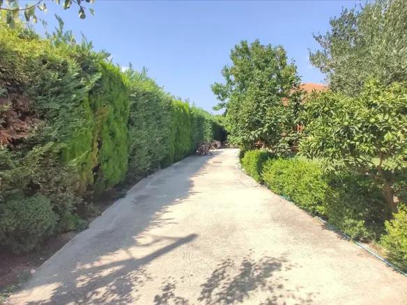 3-bedroom Detached House In Sithonia, Greece (90 M²)