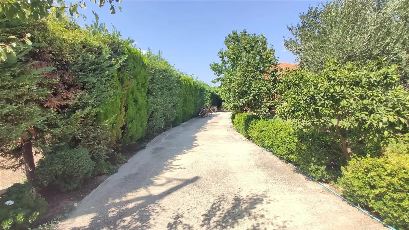 Detached House Of 90 M² In Sithonia, Chalkidiki