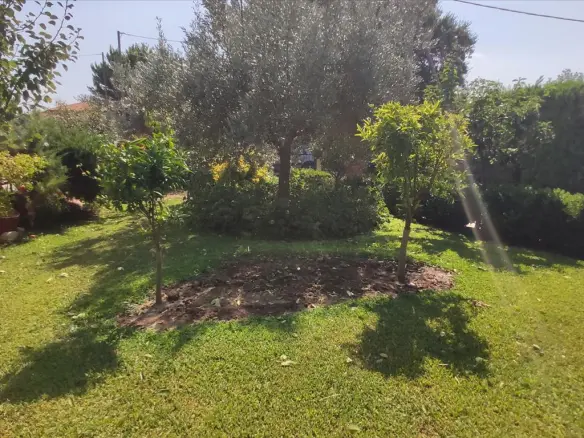 3-bedroom Detached House In Sithonia, Greece (90 M²)