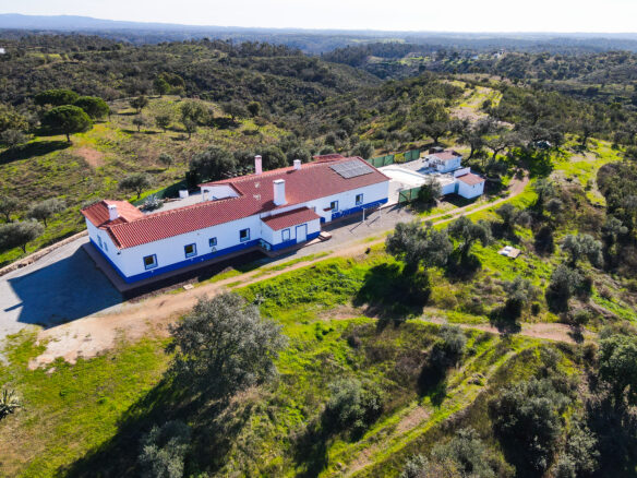 Country House Of 9 Rooms With Guest House, Pool, And Sauna In South Portugal