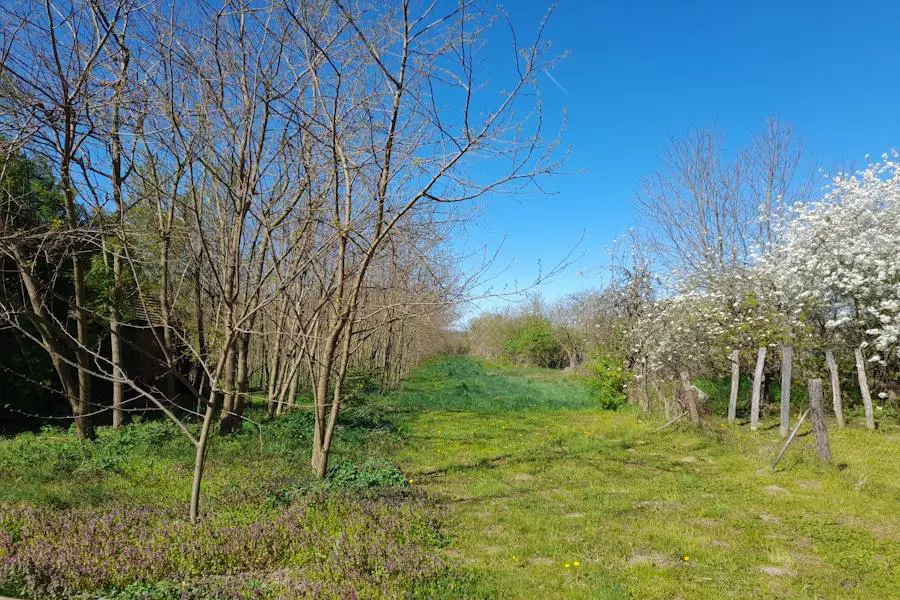 House Of 75 M² In Heresznye, Somogy