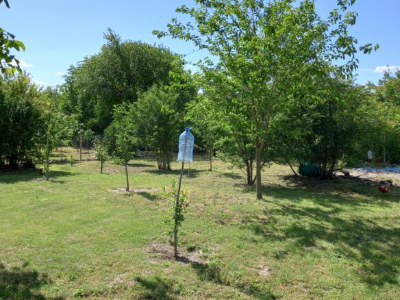 House Of 120 M² With 3 Bedrooms And Renovation In Varna