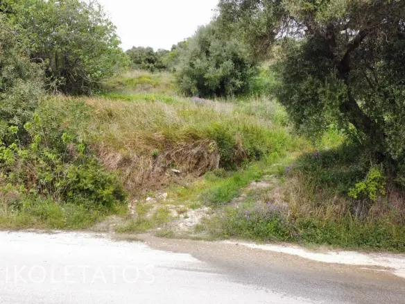 Land Of X In Ratzakli, Greece
