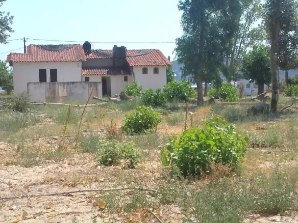 Land Of 5157 M² In Sithonia, Chalkidiki