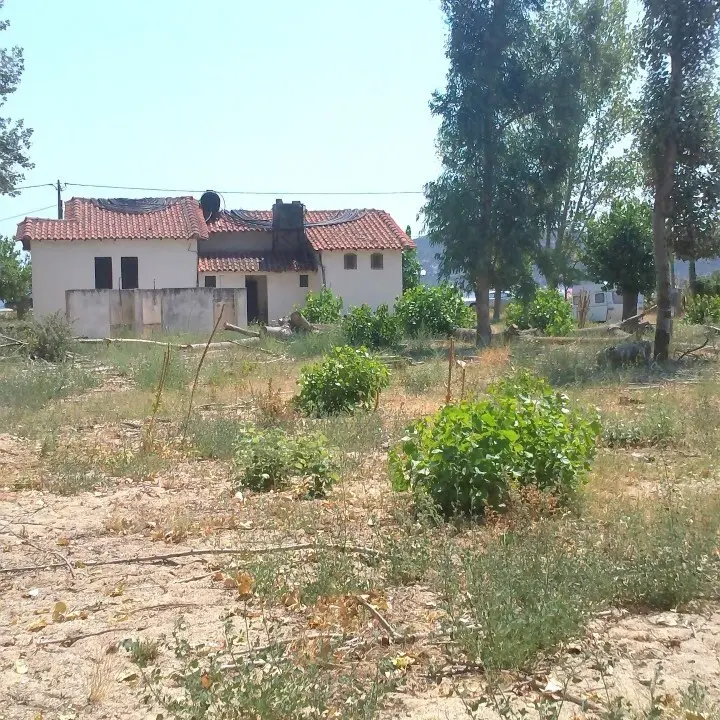 Land Of 5157 M² In Sithonia, Chalkidiki