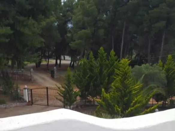 Hotel Of 150 M² In Sithonia, Chalkidiki
