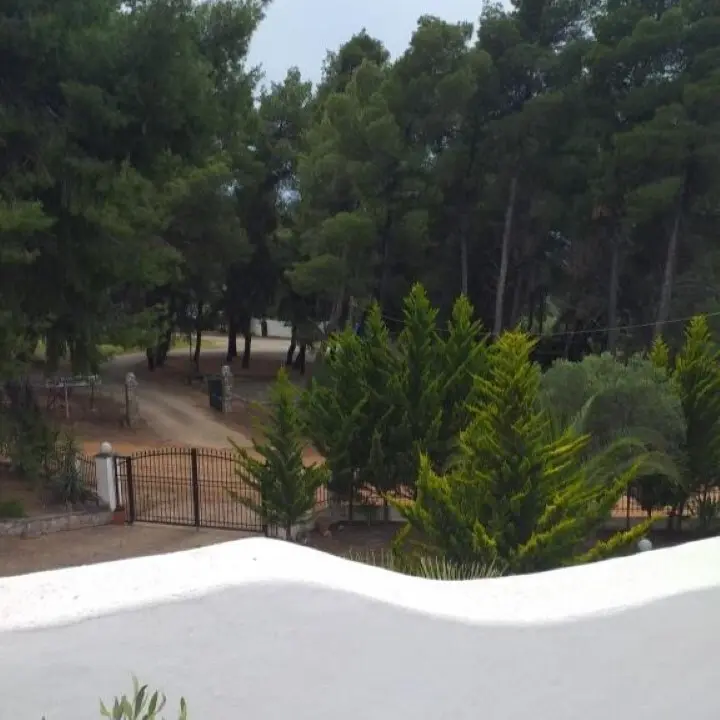Hotel Of 150 M² In Sithonia, Chalkidiki