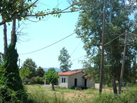 Land Of 5157 M² In Sithonia, Chalkidiki