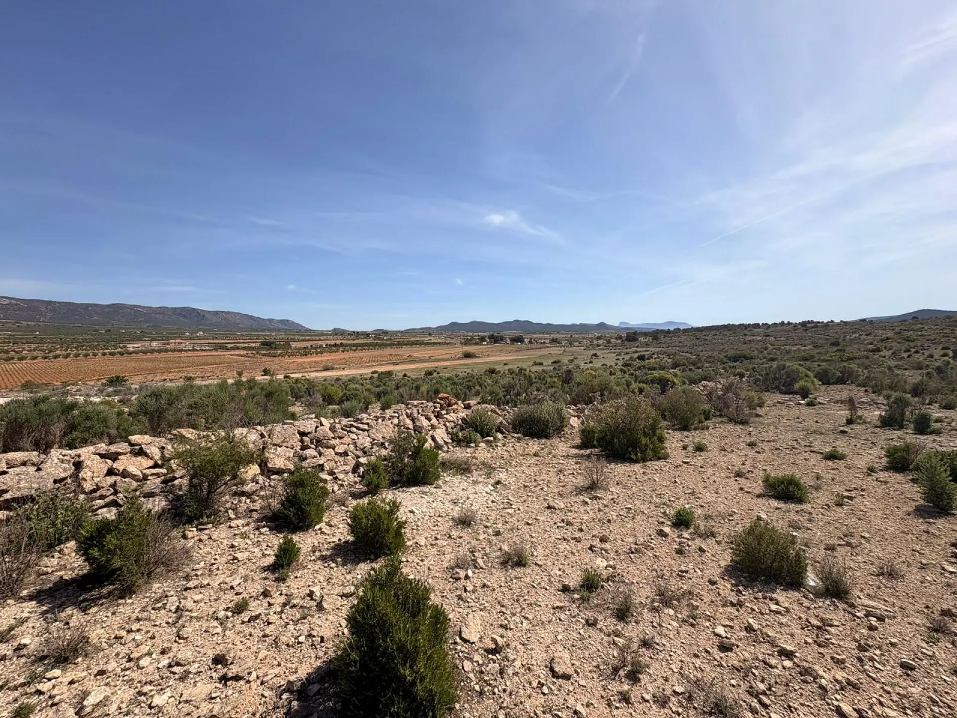 Land Of 0 M² In Pinoso, Spain