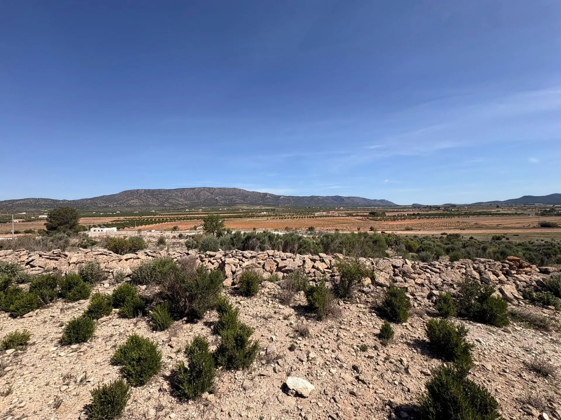 Land Of 0 M² In Pinoso, Spain