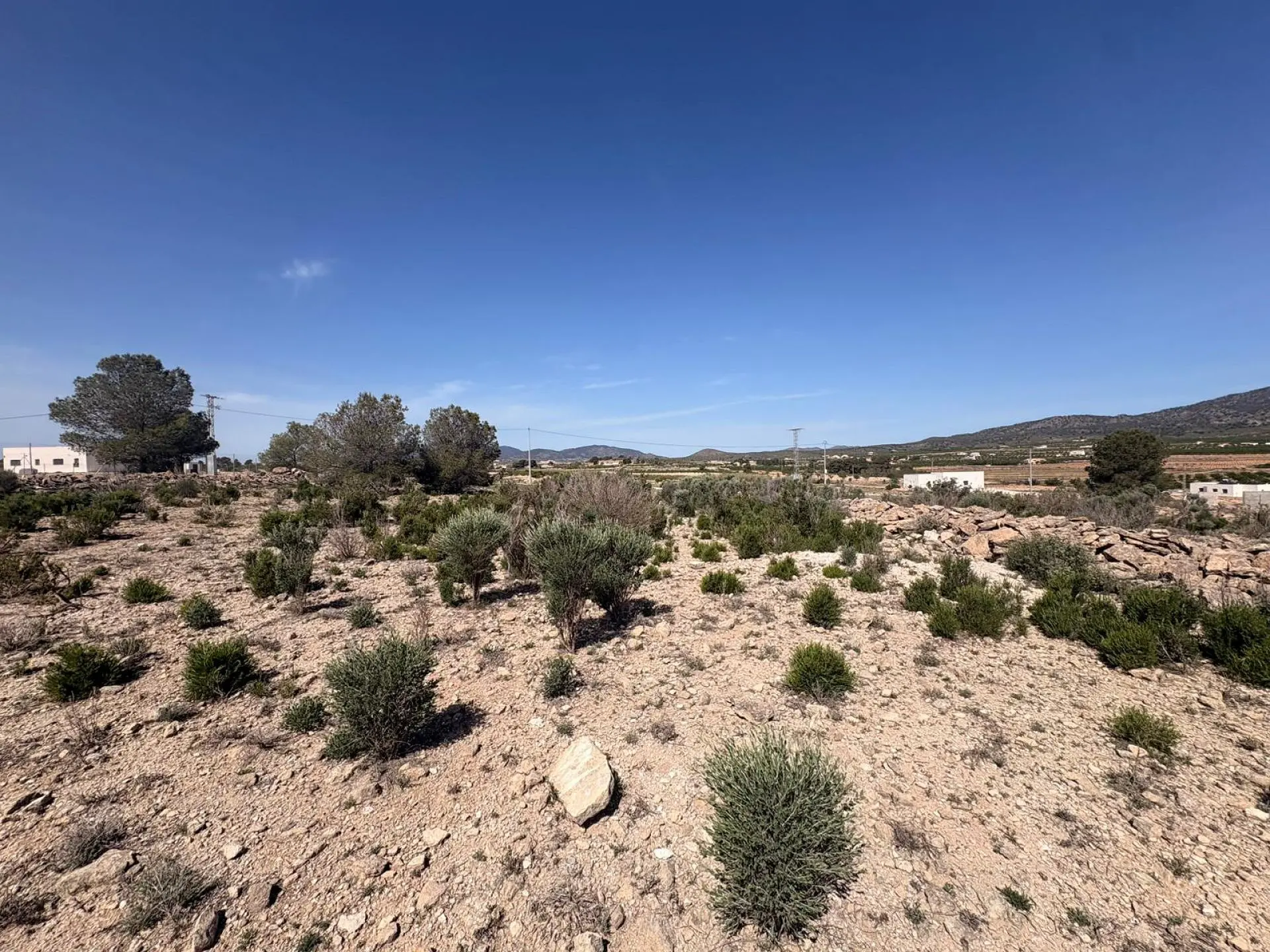 Land Of 0 M² In Pinoso, Spain