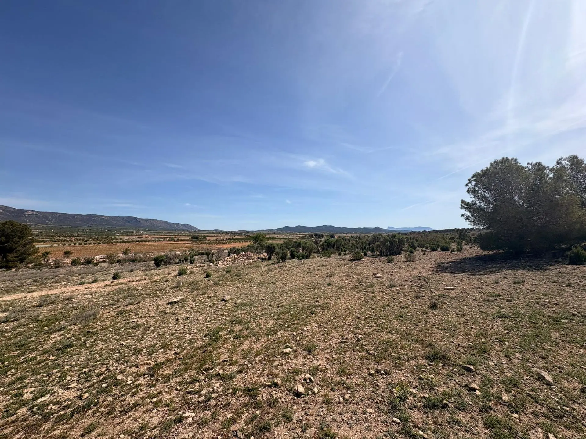 Land Of 0 M² In Pinoso, Spain