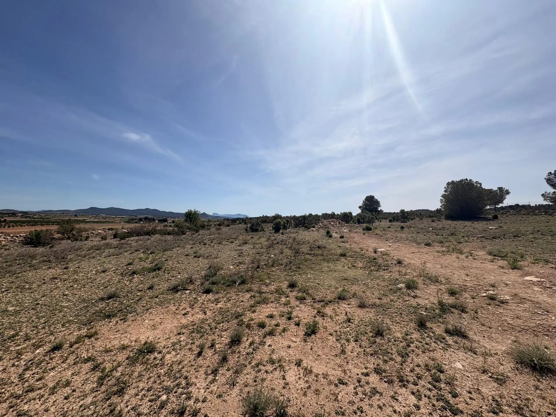 Land Of 0 M² In Pinoso, Spain