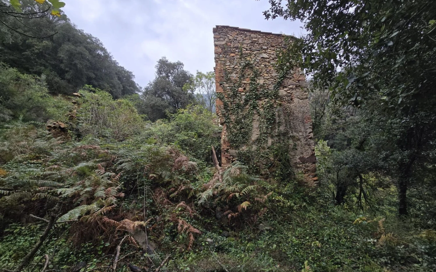 Land In Susqueda, Spain (23.641 M² Plot)