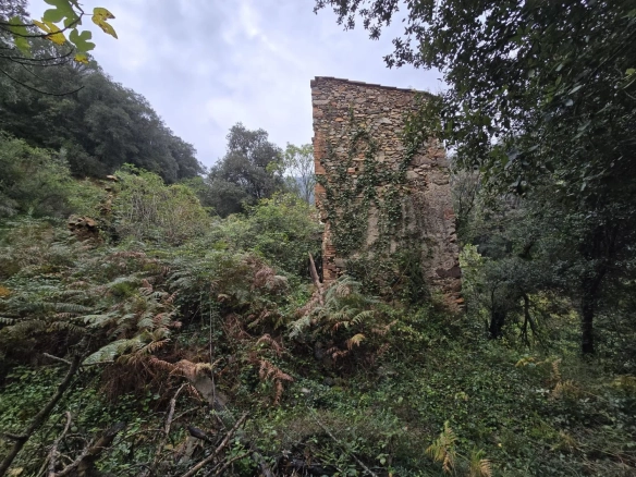 Land In Susqueda, Spain (23.641 M² Plot)