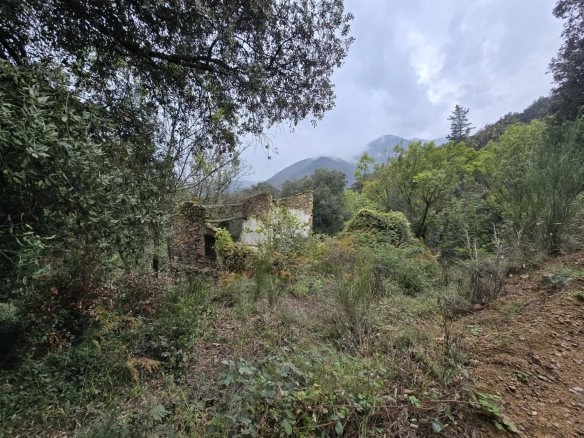 Land In Susqueda, Spain (23.641 M² Plot)