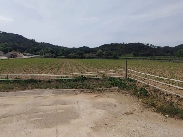 Land In Bescanó, Spain (2.356 M² Plot)
