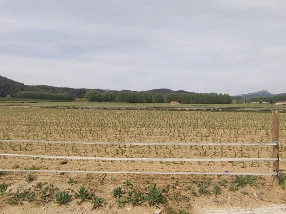 Land In Bescanó, Spain (2.356 M² Plot)