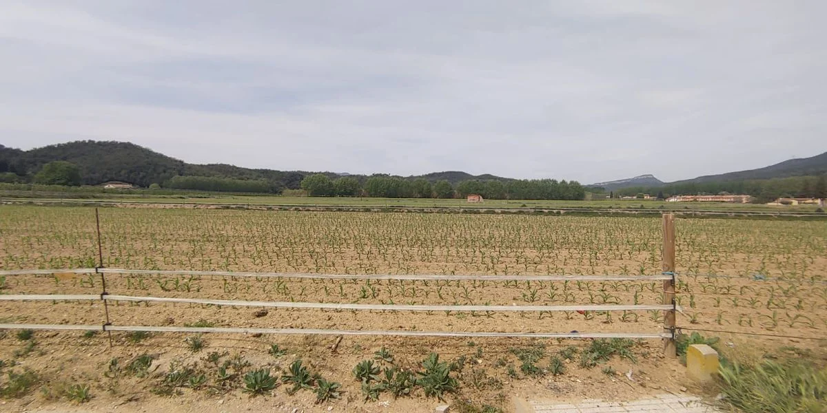 Land Of M² In Bescanó, Spain