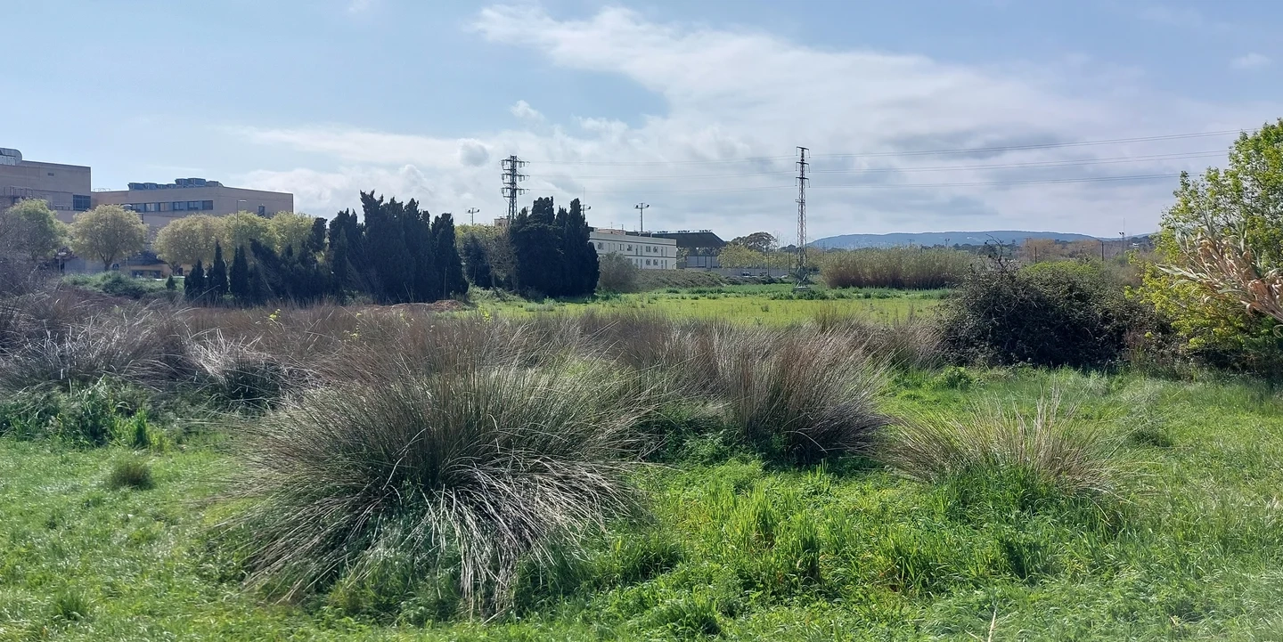 Land In Palamós, Spain (2.051 M² Plot)