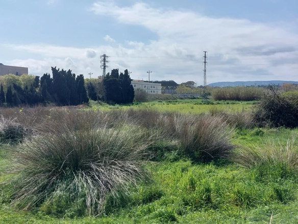 Land In Palamós, Spain (2.051 M² Plot)