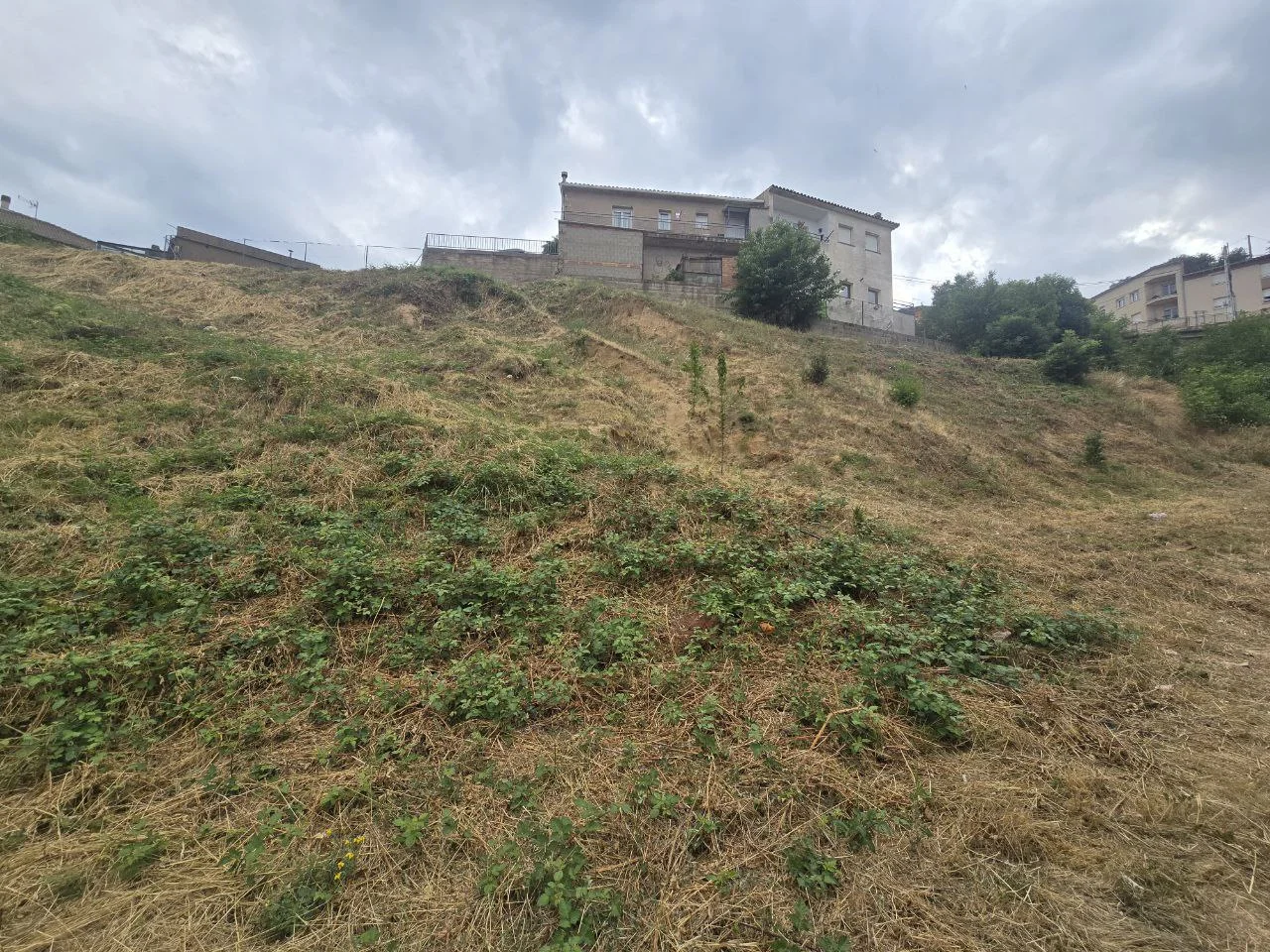 Land Of M² In Sant Hilari Sacalm, Spain
