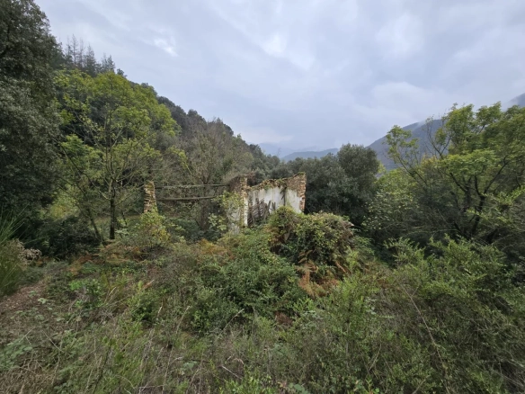 Land In Susqueda, Spain (23.641 M² Plot)