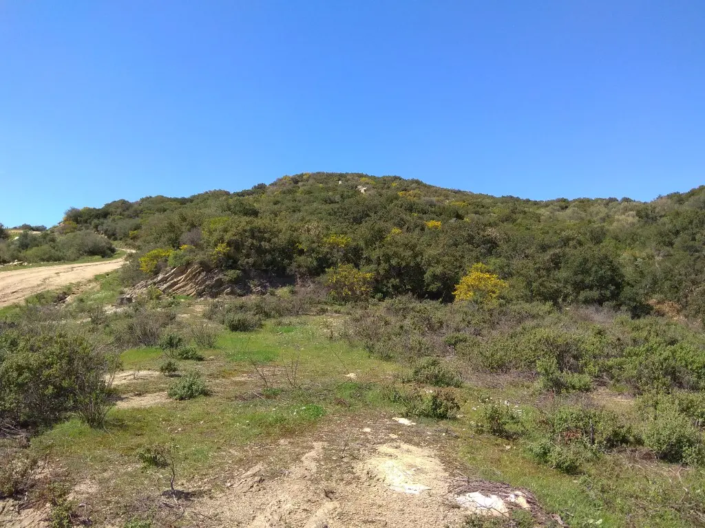 Land Of 10000 M² In Sithonia, Chalkidiki