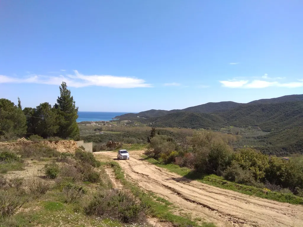 Land Of 10000 M² In Sithonia, Chalkidiki