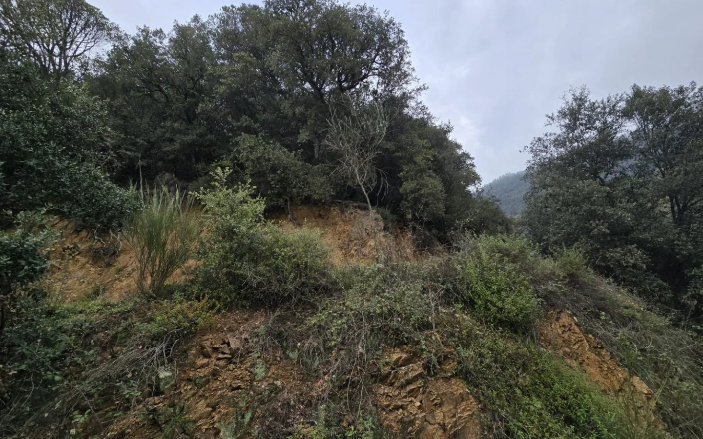 Land In Susqueda, Spain (23.641 M² Plot)
