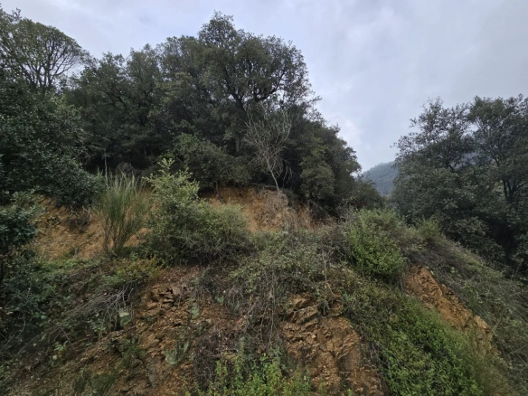 Land In Susqueda, Spain (23.641 M² Plot)
