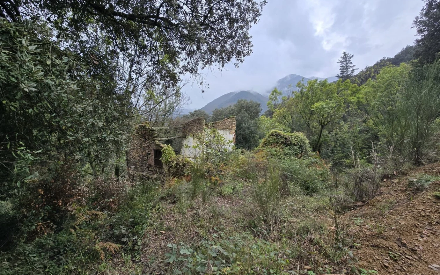 Land In Susqueda, Spain (23.641 M² Plot)