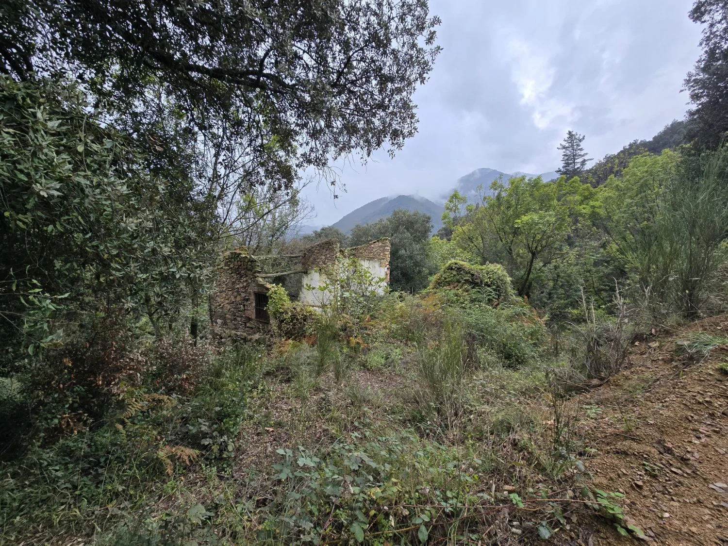 Land Of 0 M² In Susqueda, Spain