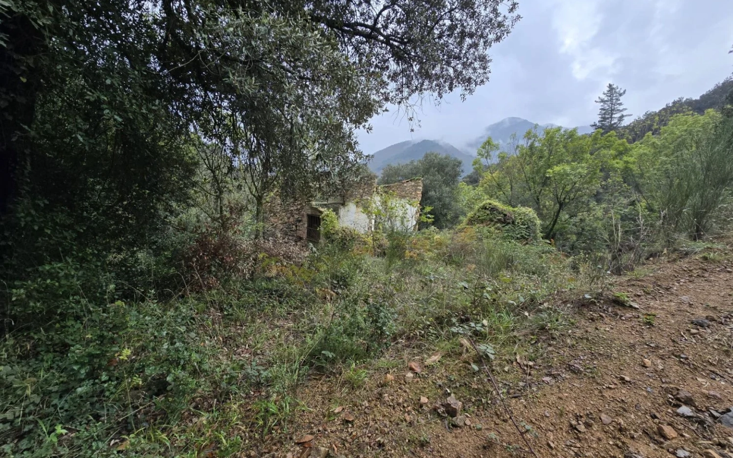 Land In Susqueda, Spain (23.641 M² Plot)