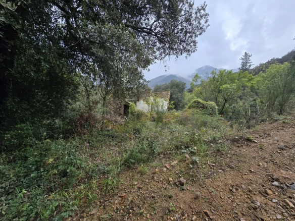Land In Susqueda, Spain (23.641 M² Plot)