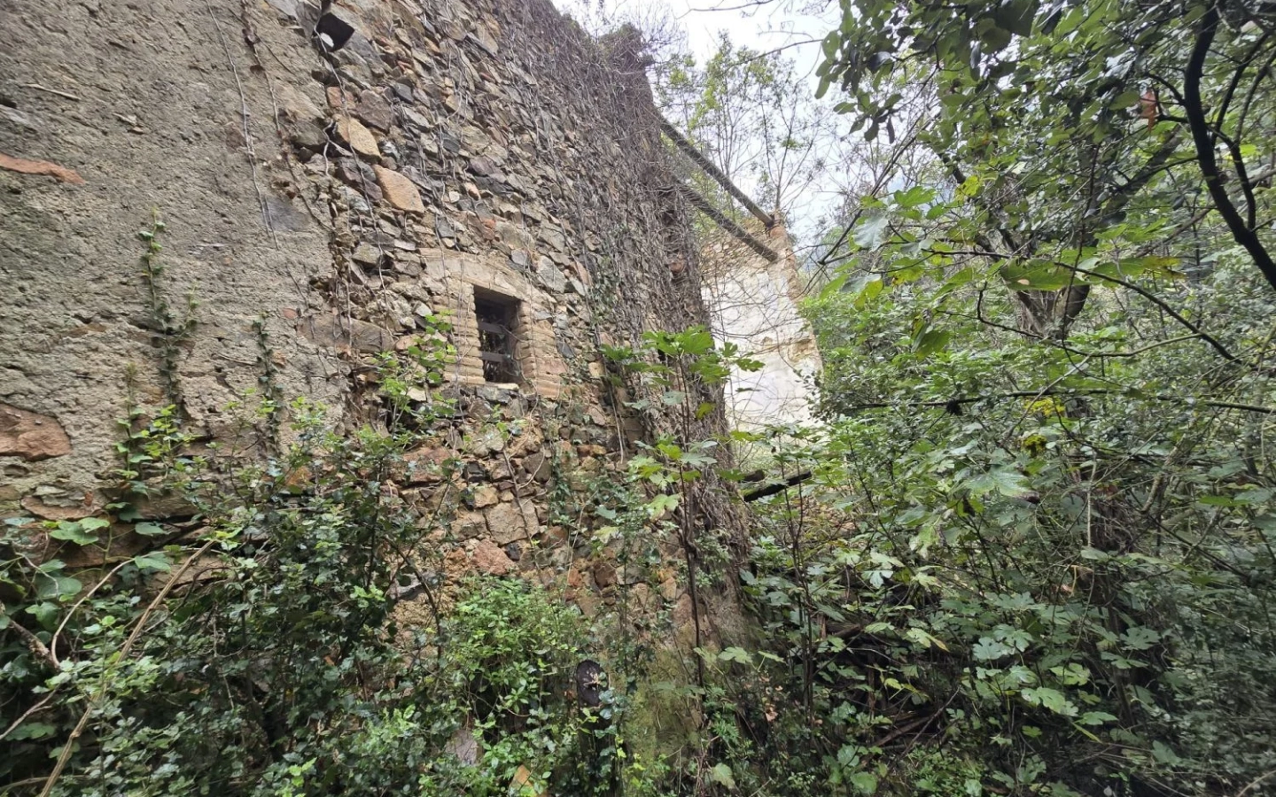 Land In Susqueda, Spain (23.641 M² Plot)